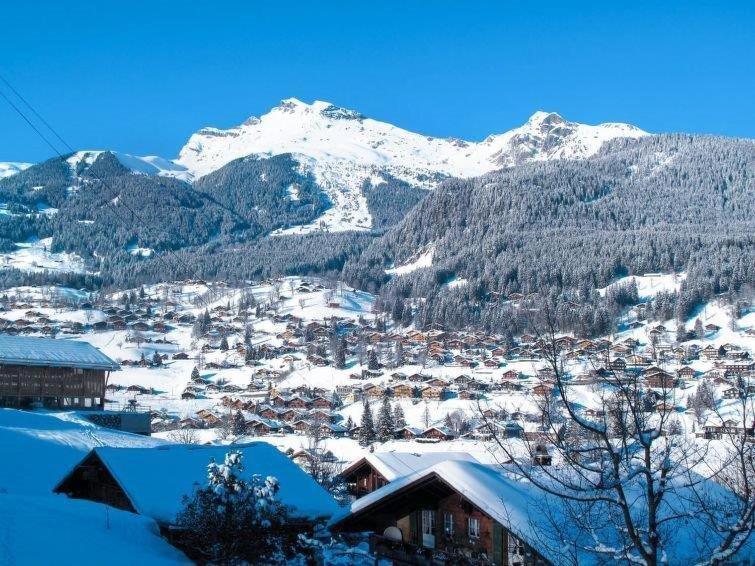 Aphrodite West Magnificent Eiger View * Grindelwald