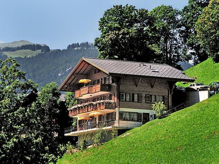 Aphrodite West Magnificent Eiger View *
