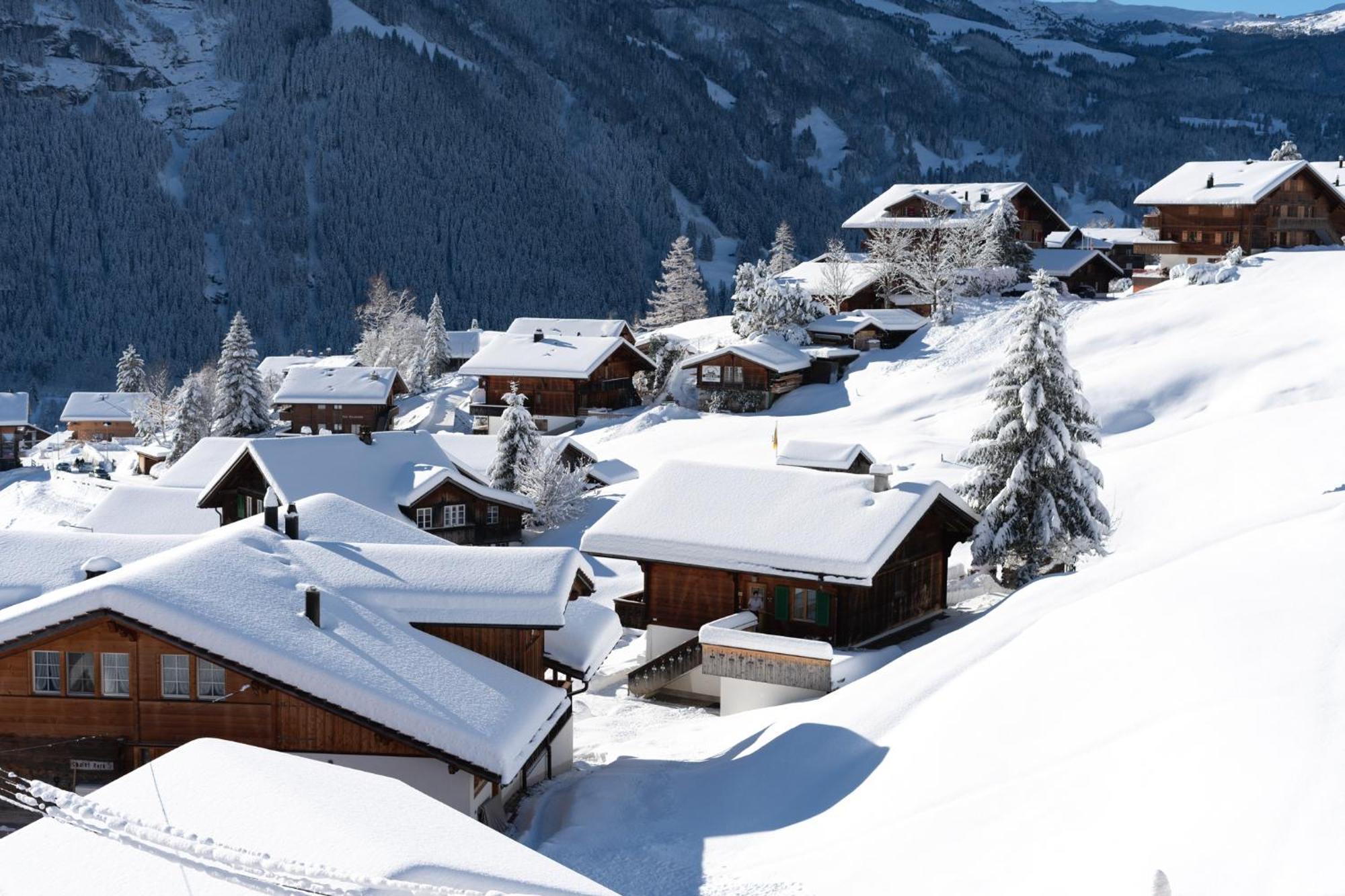 Grindellodge