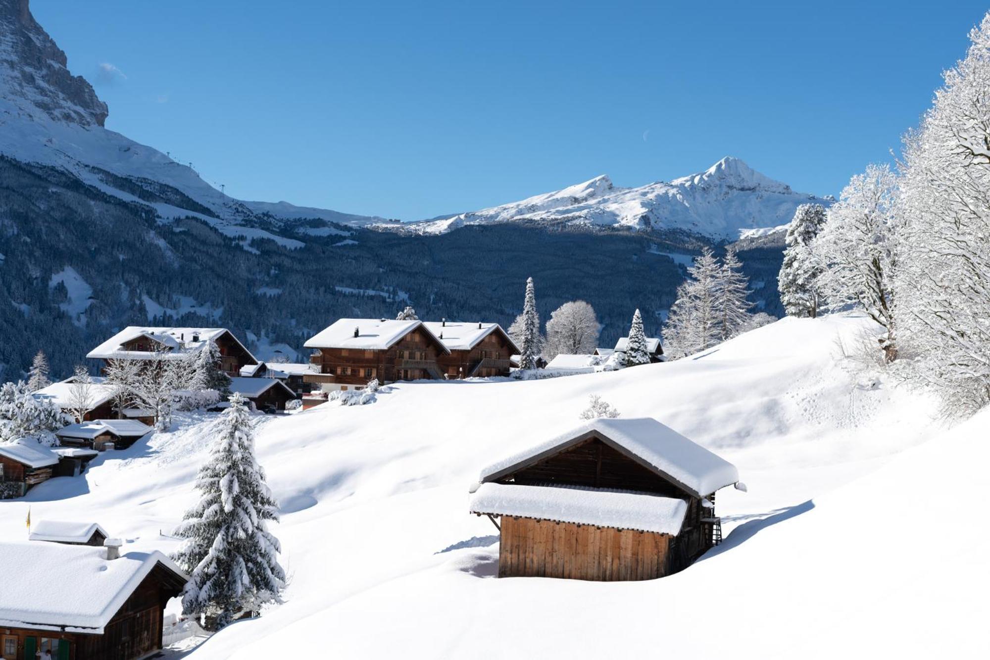 Hotel Grindellodge Grindelwald