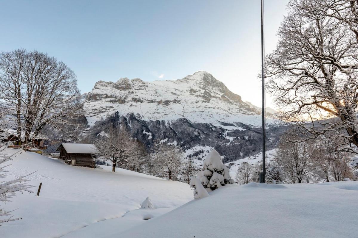Apartment Schuerli Grindelwald