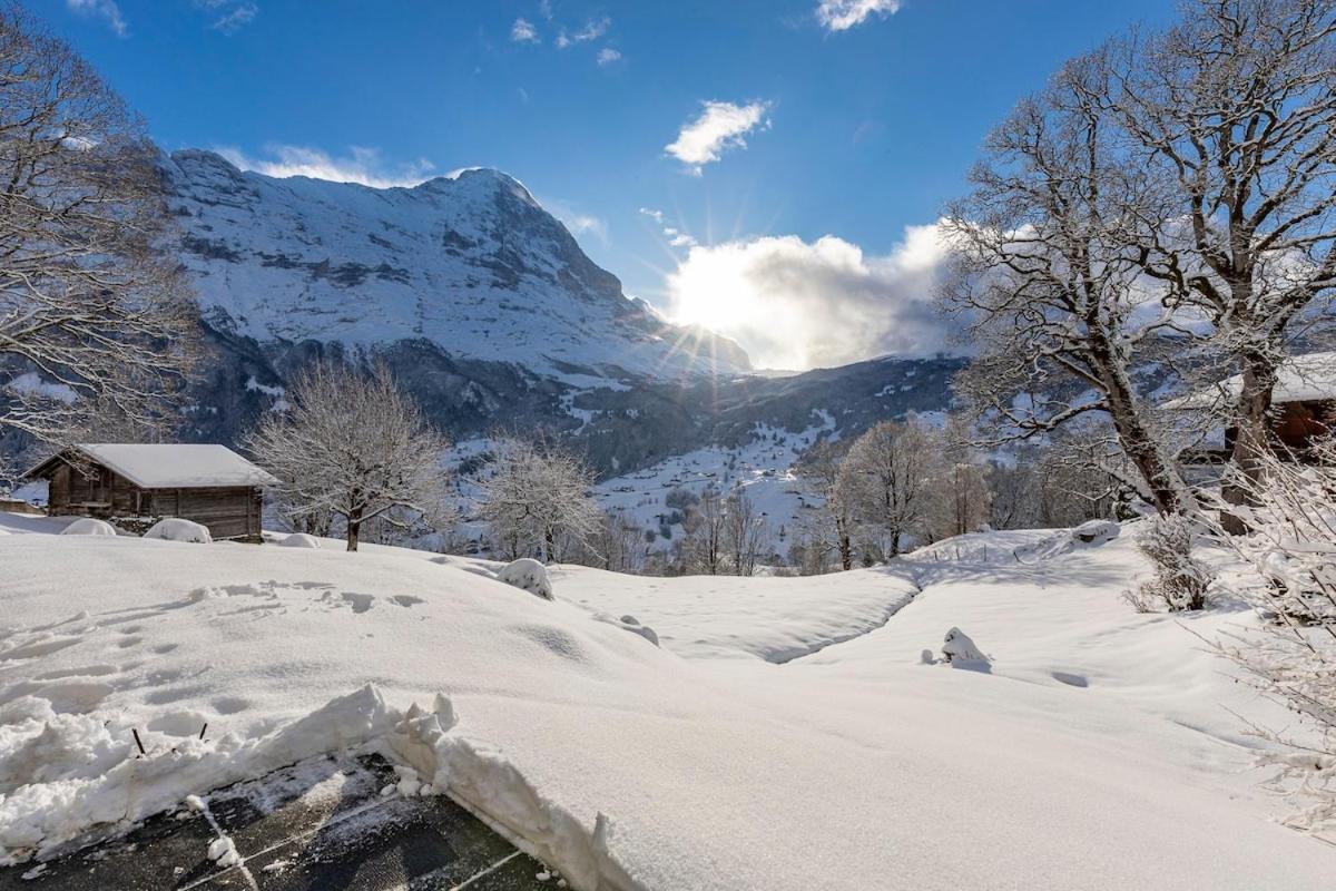 Schuerli Apartment Grindelwald