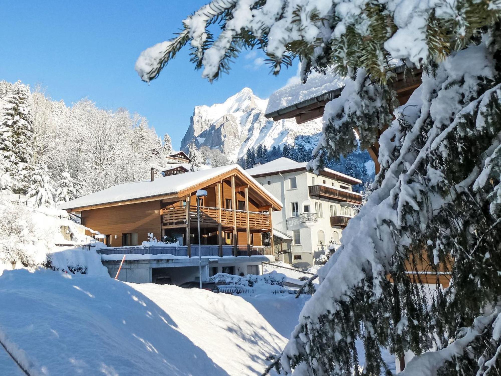 Apartment La Muntaniala By Interhome Grindelwald