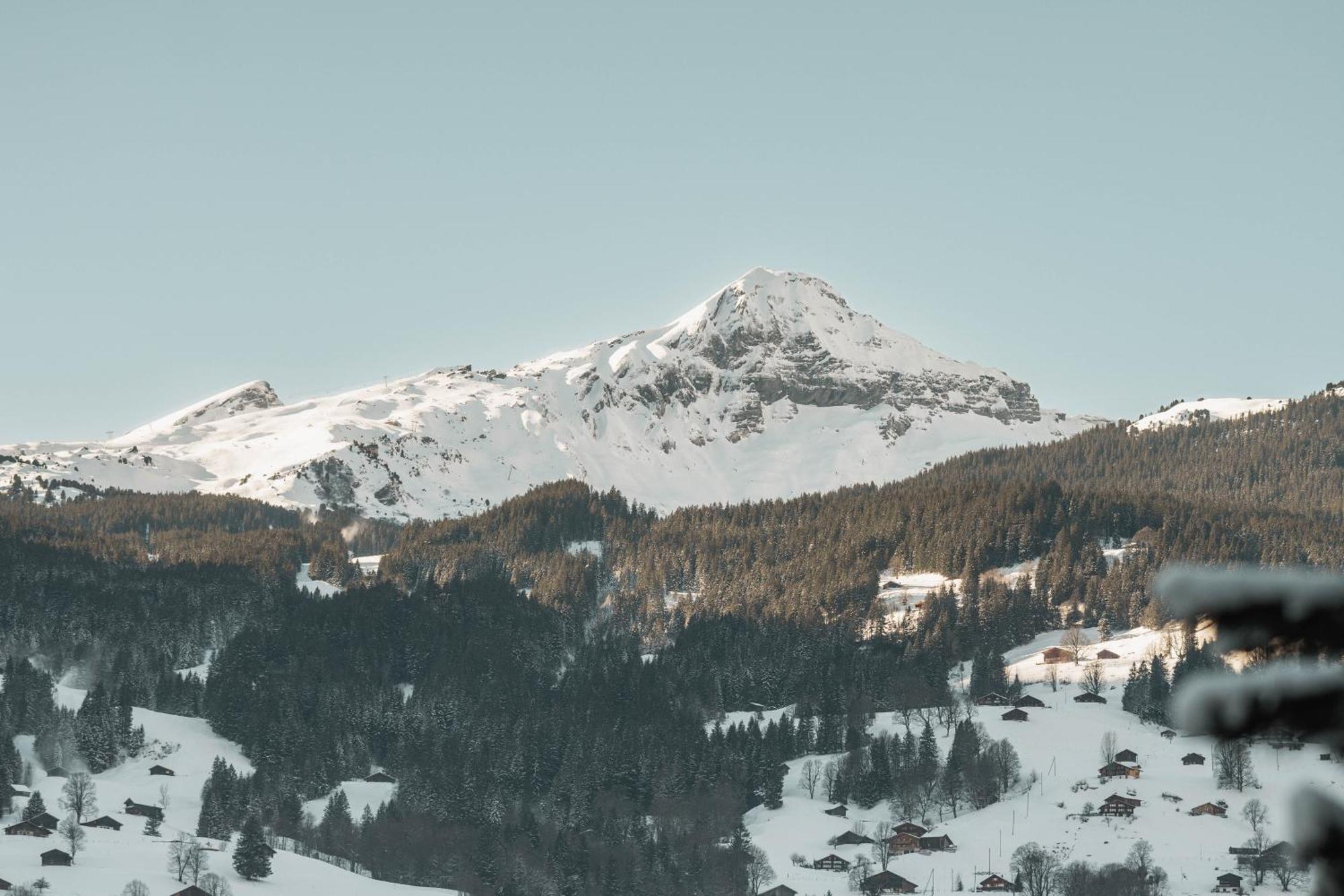 Apartment Homely - Naehe Terminal Grindelwald