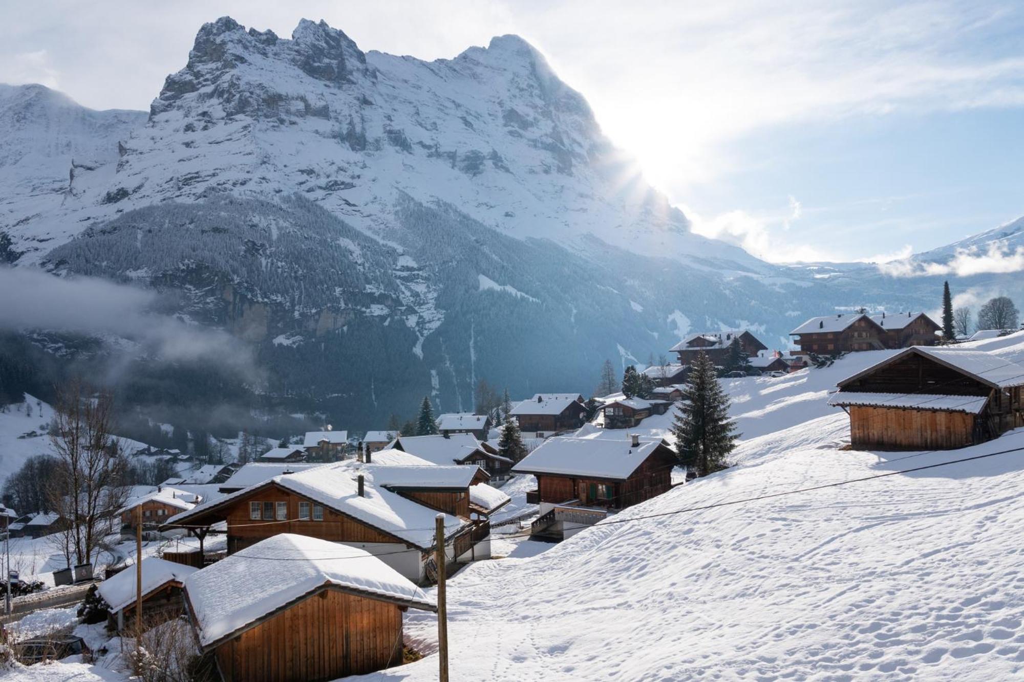 Hotel Grindellodge