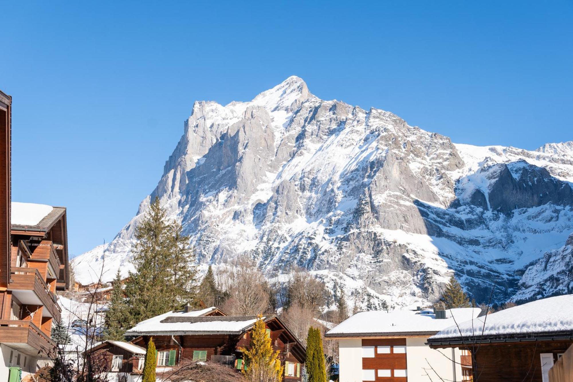 Hotel Grindellodge *