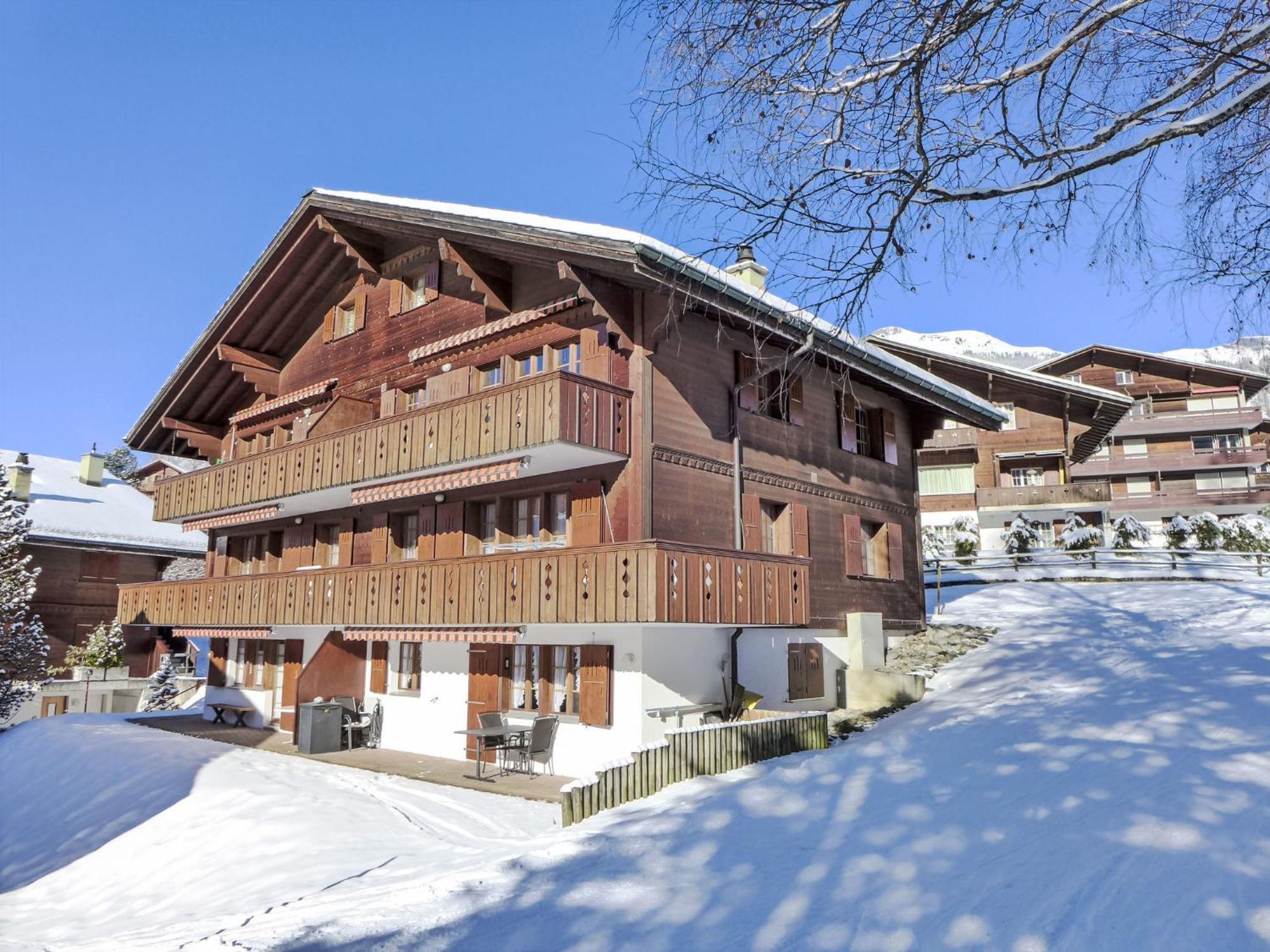 Apartment Heidi By Interhome Grindelwald
