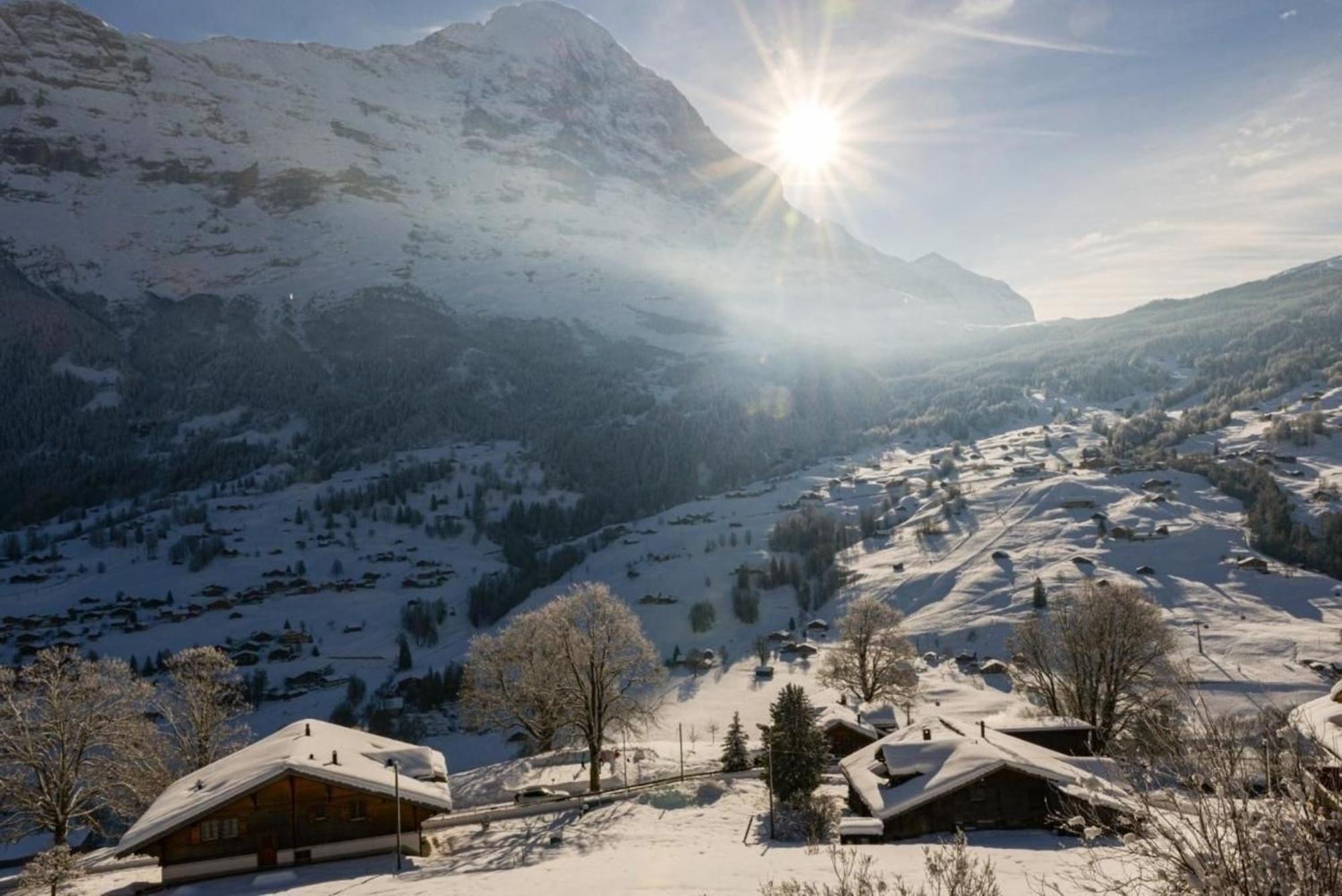 Burgstein, Alpenrose Apartment Grindelwald