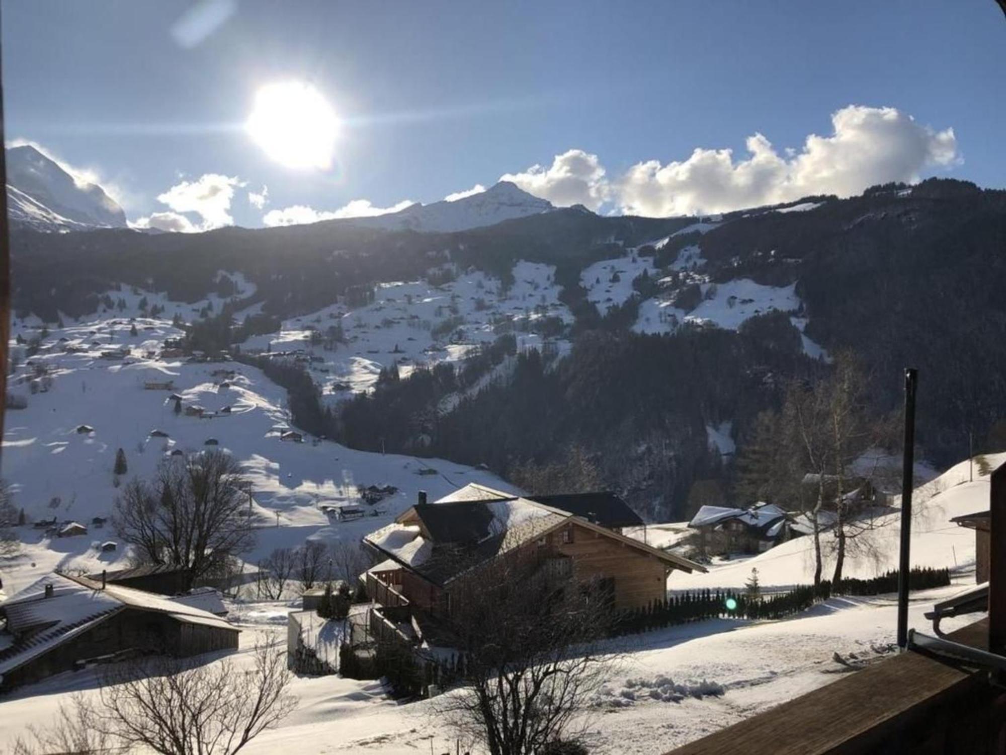 Burgstein, Alpenrose Apartment