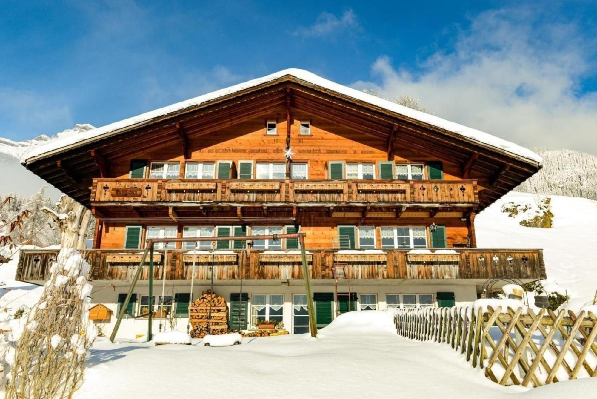 Burgstein, Alpenrose Apartment Grindelwald