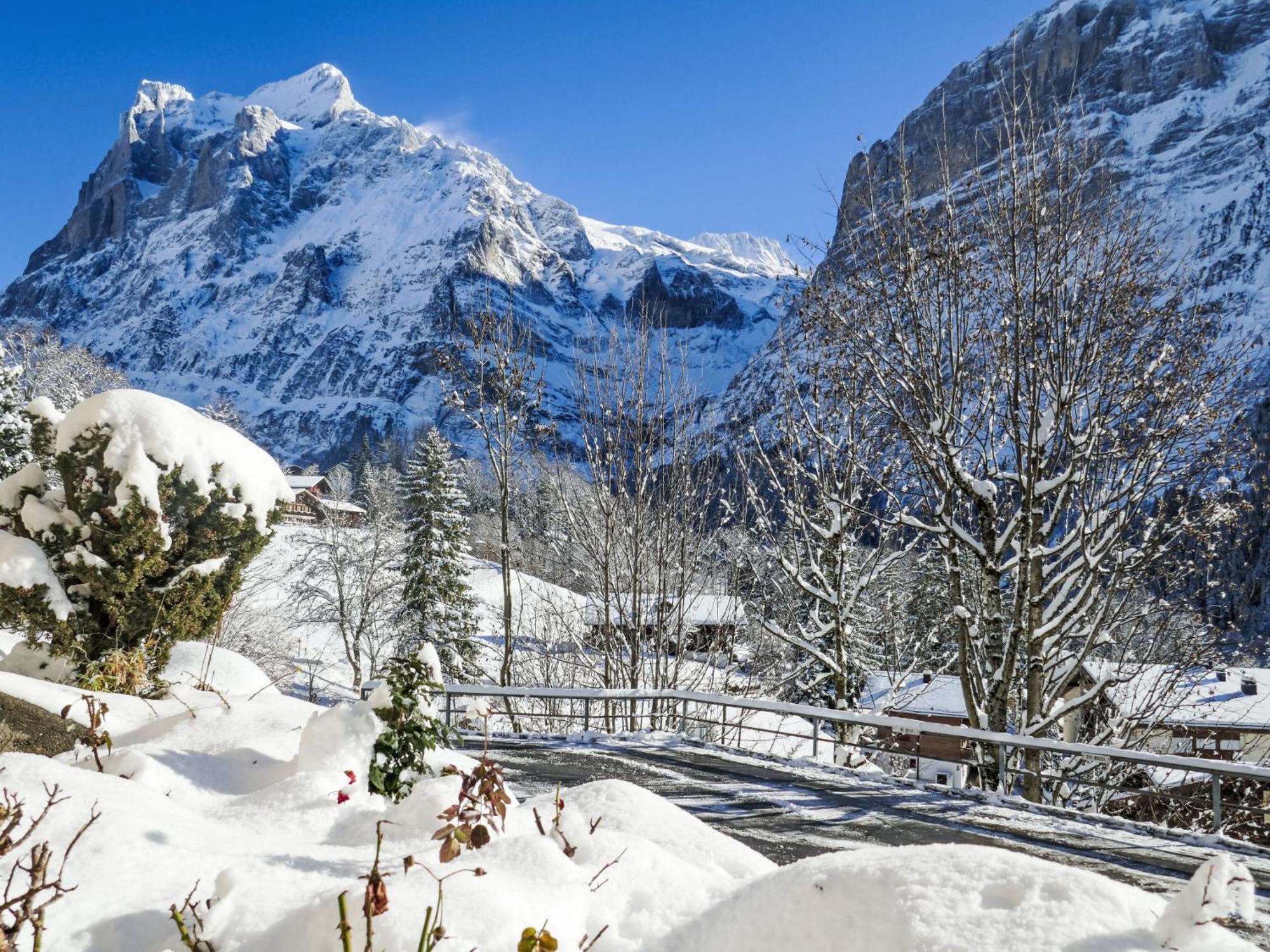 Zur Hoehe By Interhome * Grindelwald