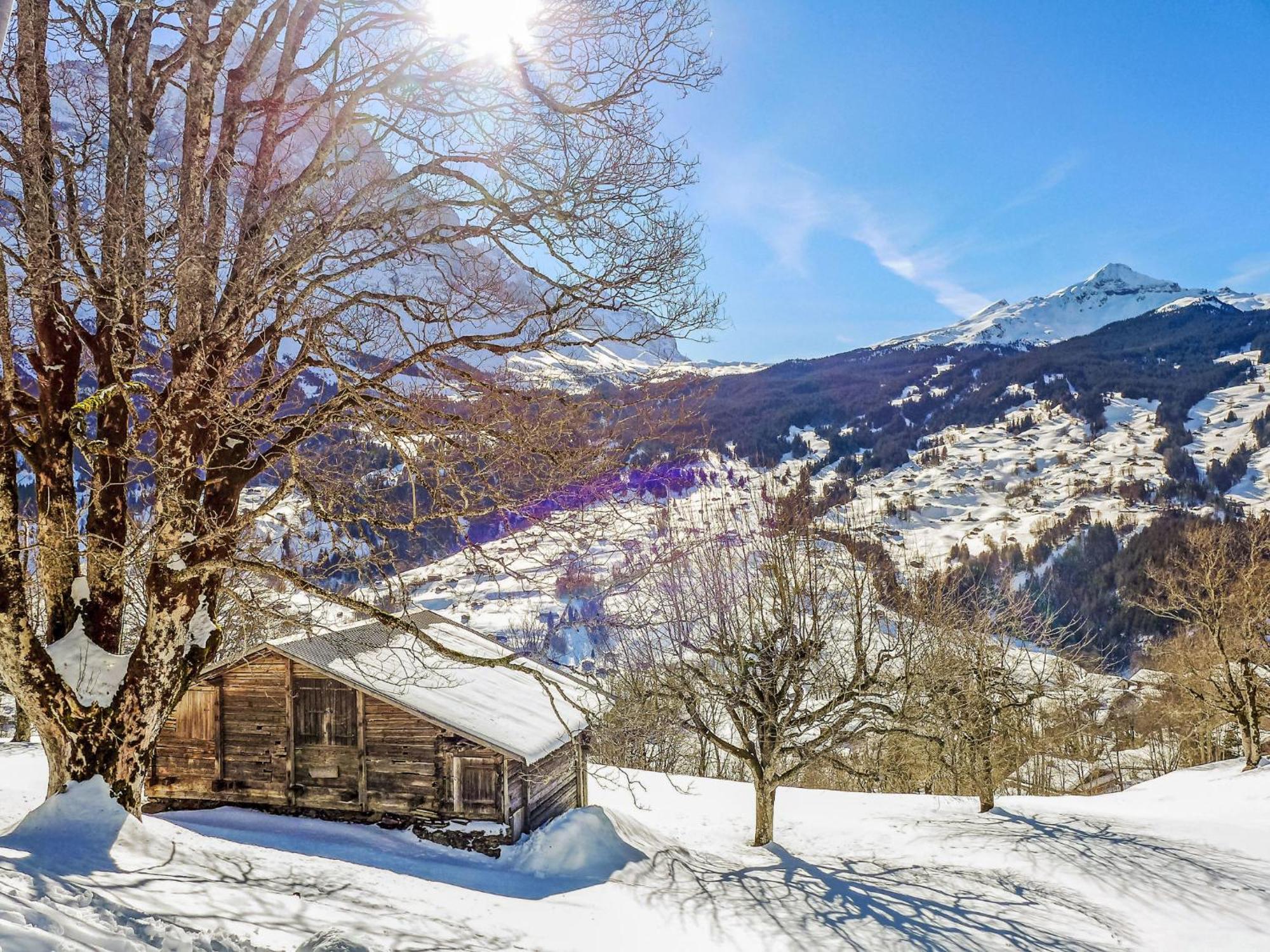 Hobelbank By Interhome Apartment Grindelwald