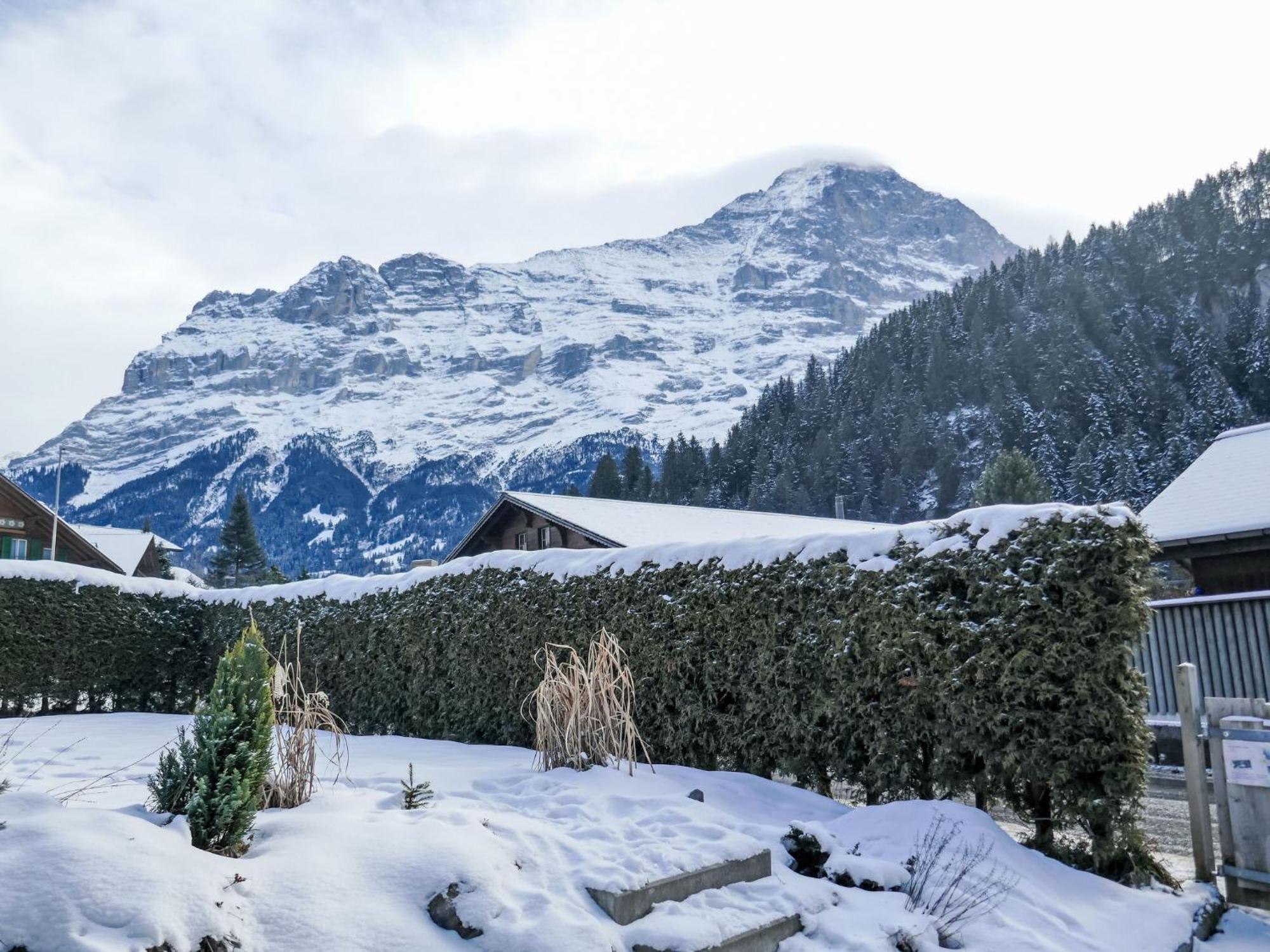 Schwendihus-6 * Grindelwald