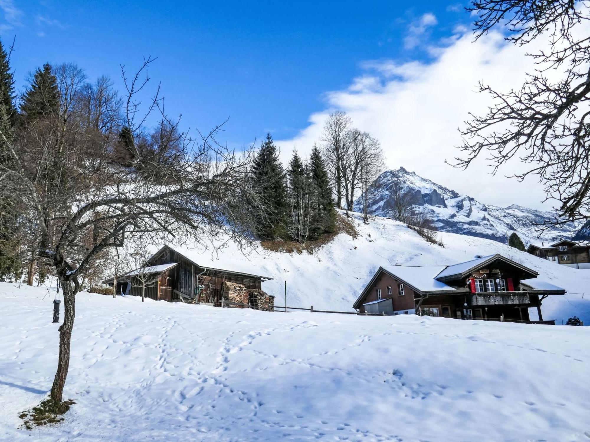 Schwendihus-11 By Interhome * Grindelwald