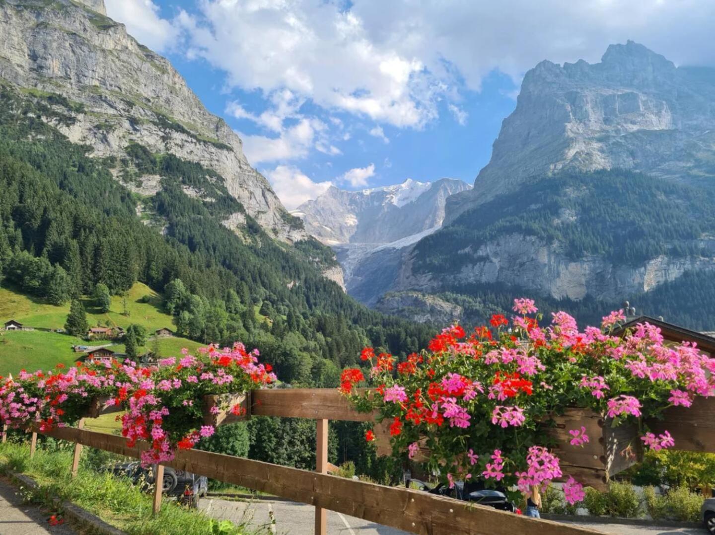 Homely - Naehe Terminal * Grindelwald