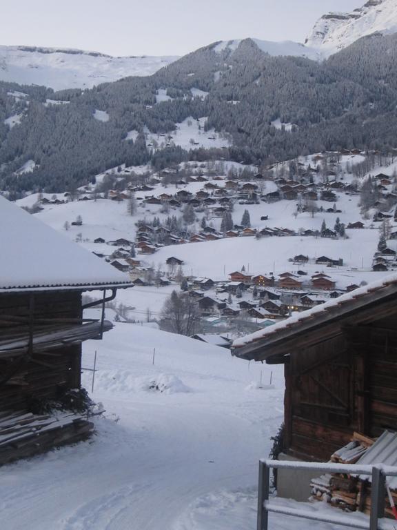 Apartment Baergblick *