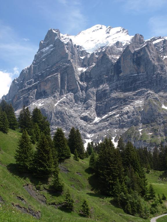 Bel-air Eden Inn Grindelwald