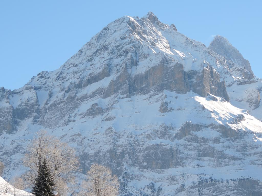 Schwendiboden Apartment Grindelwald