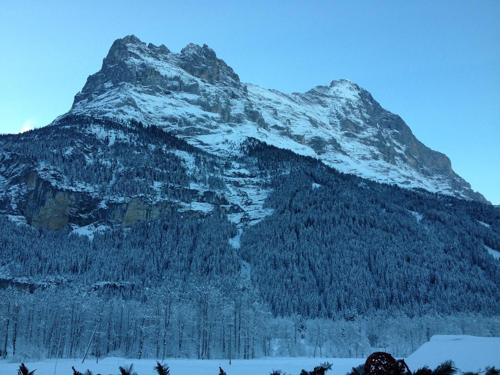 Locherboden Apartment Grindelwald