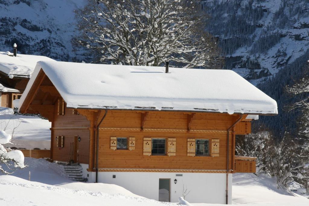 Chalet Bärgbächli Apartment *