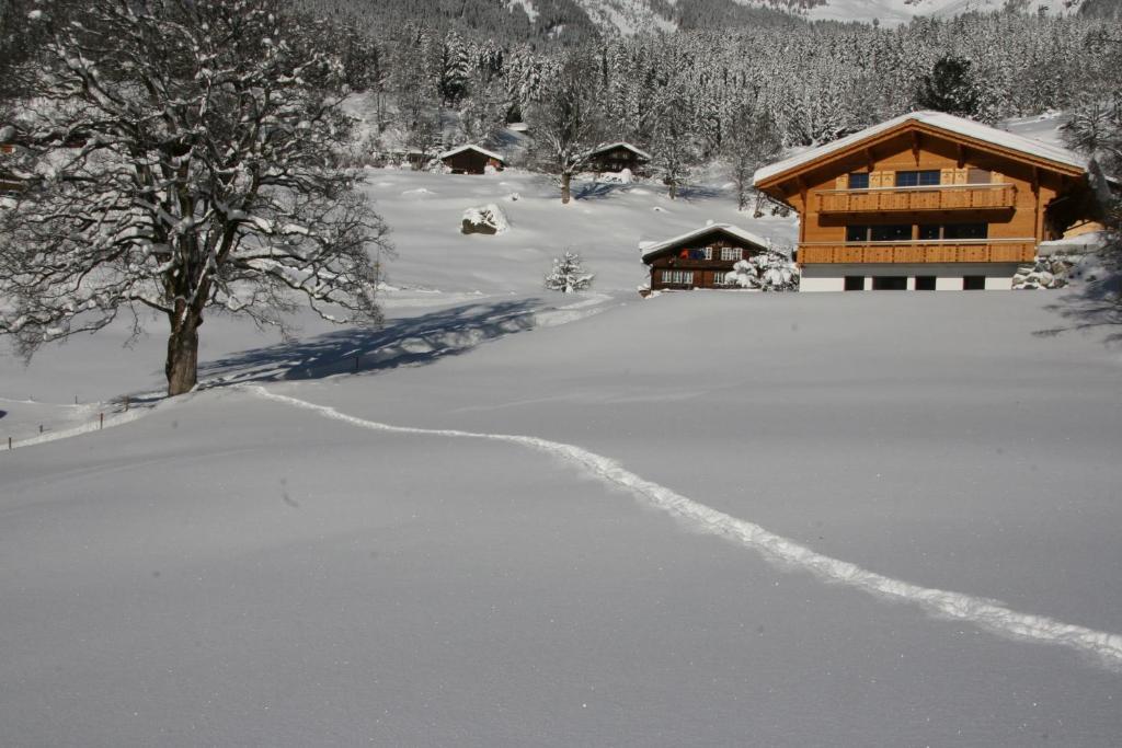 Chalet Bärgbächli Apartment Grindelwald