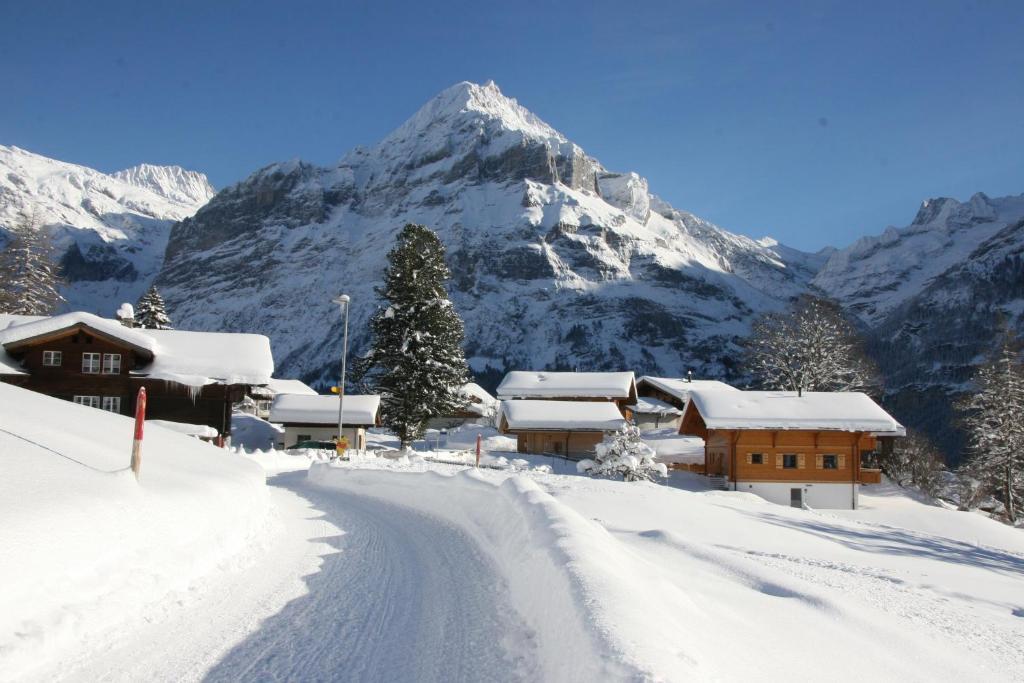 Chalet Bärgbächli Grindelwald