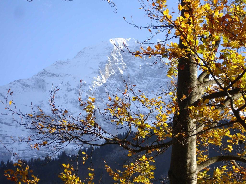 Beim Grindelwald