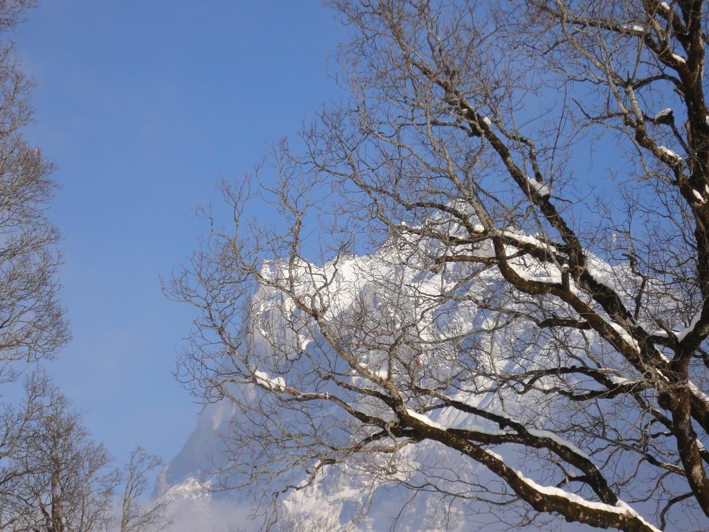 Hostel Lehmann'S Herberge Hostel Grindelwald