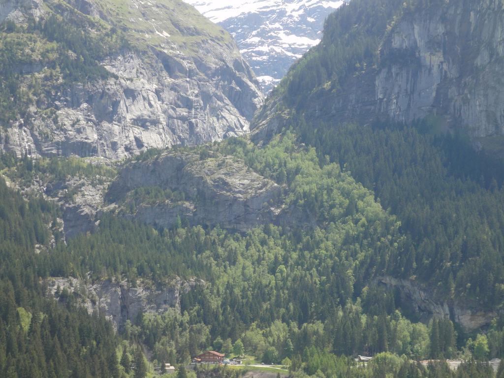 Lehmann'S Herberge Hostel