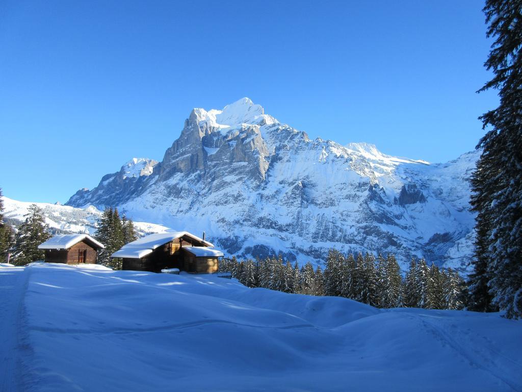 Apartment Chalet Casita Grindelwald