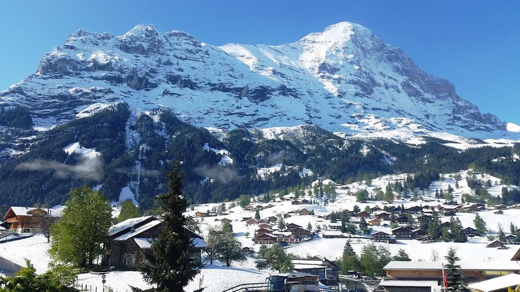 St. Louis 3.5 - Griwarent Ag Grindelwald