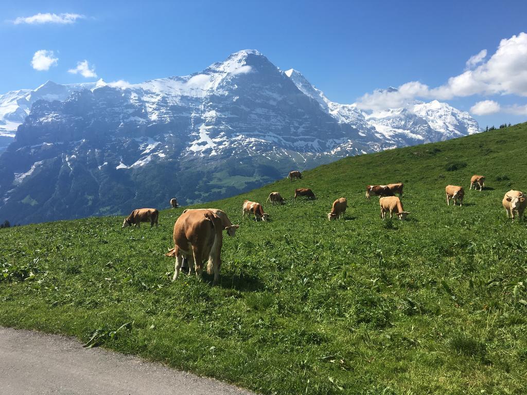 Apartment Locherboden Grindelwald