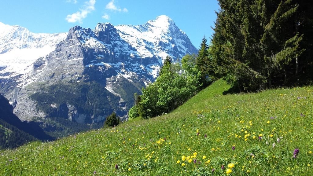Hotel Tschuggen Grindelwald