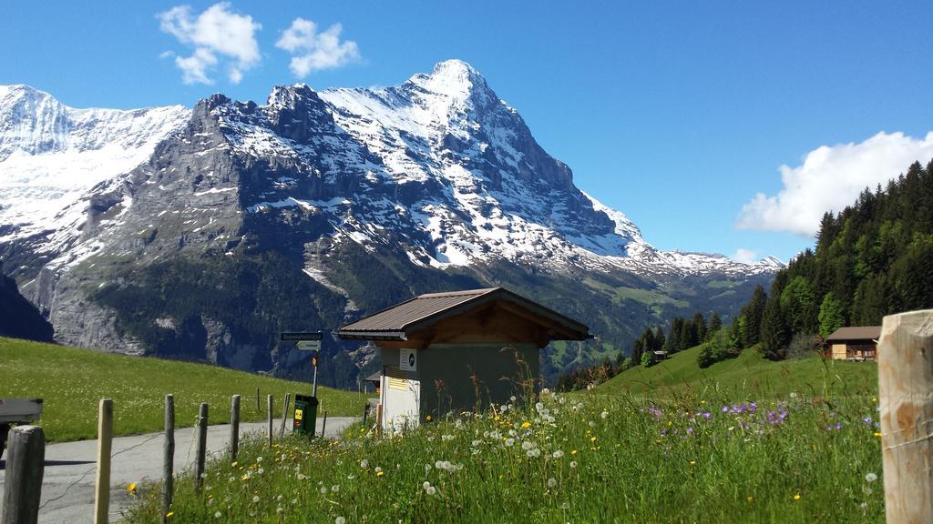 Hotel Tschuggen Grindelwald