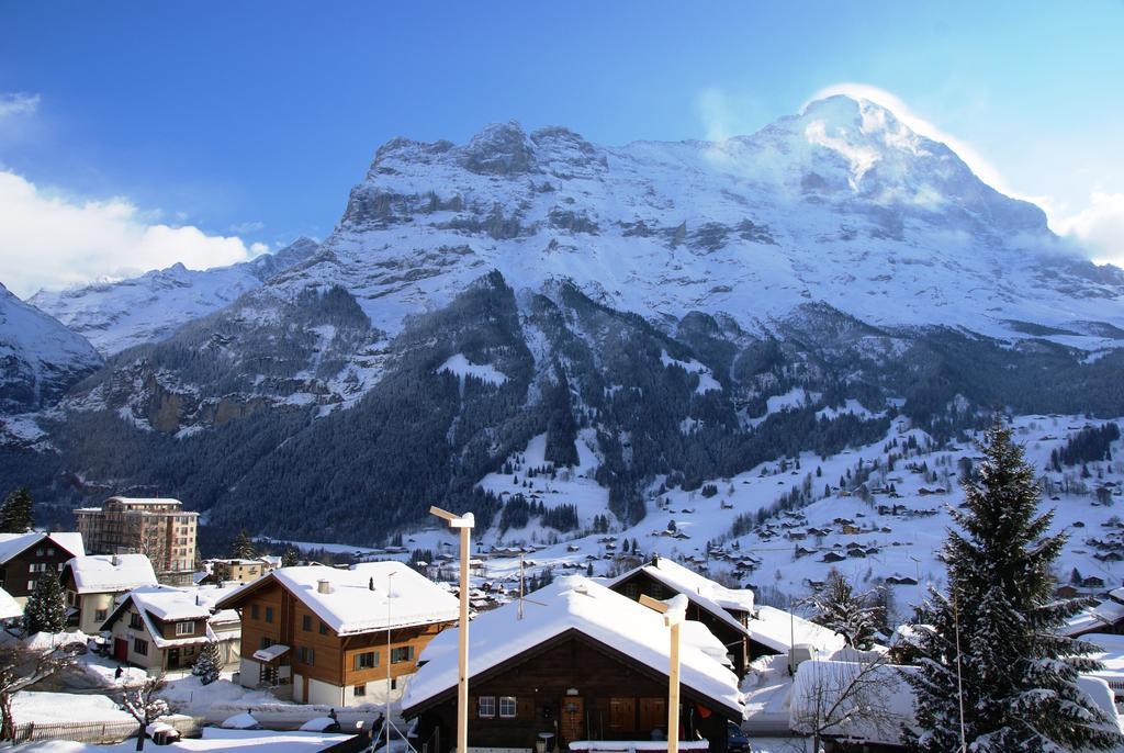 Alpenblume - Griwa Rent Ag