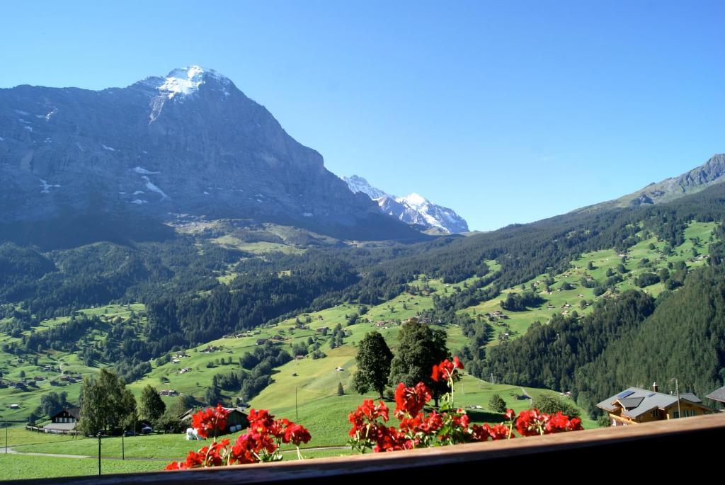 Am Eigen Apartment Grindelwald
