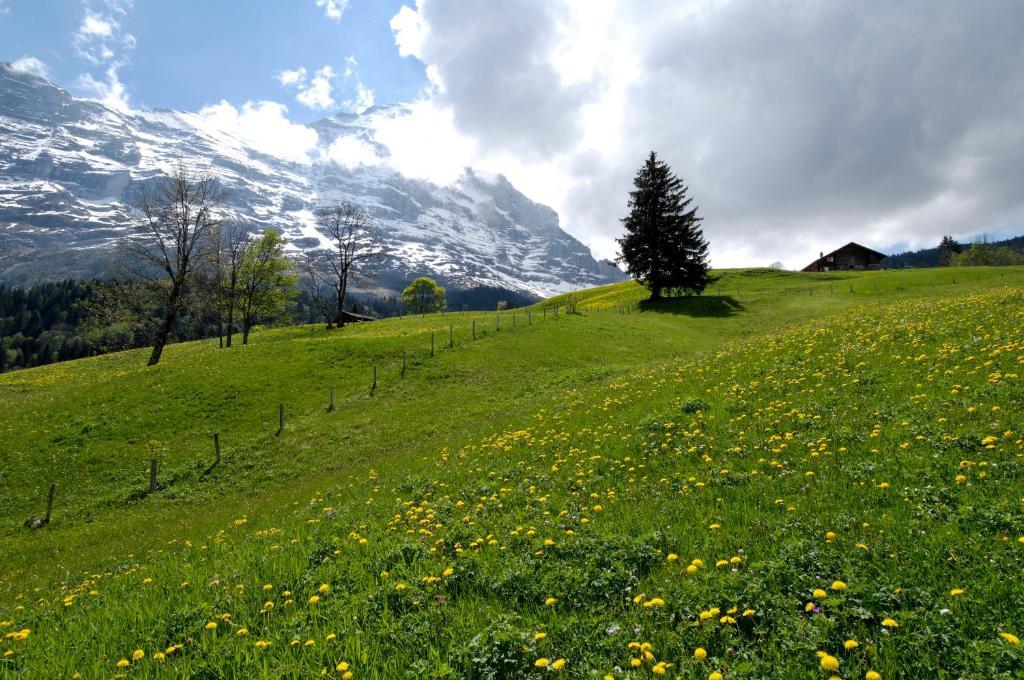 Hotel Aspen Alpine Lifestyle 4*