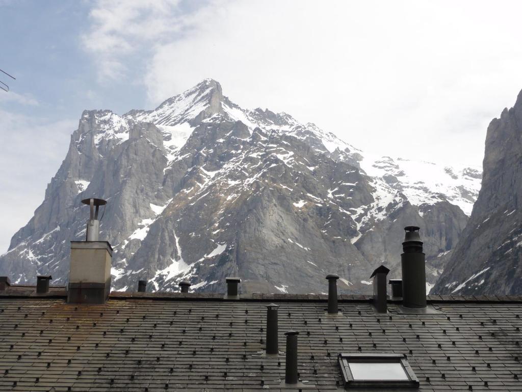 Steinbock Grindelwald