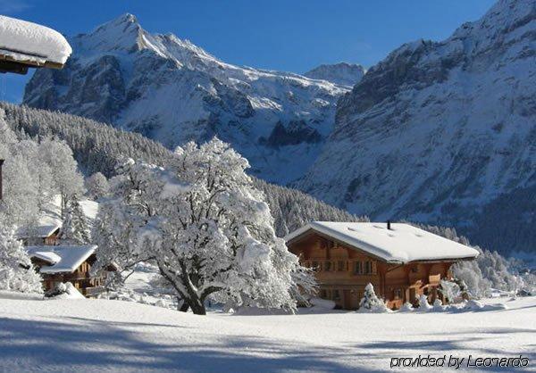 Eigerblick Hotel 3*