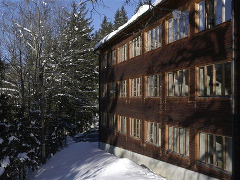Hostel Youth
