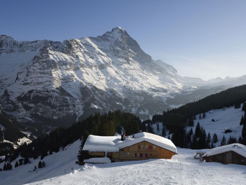 Alpinhotel Bort