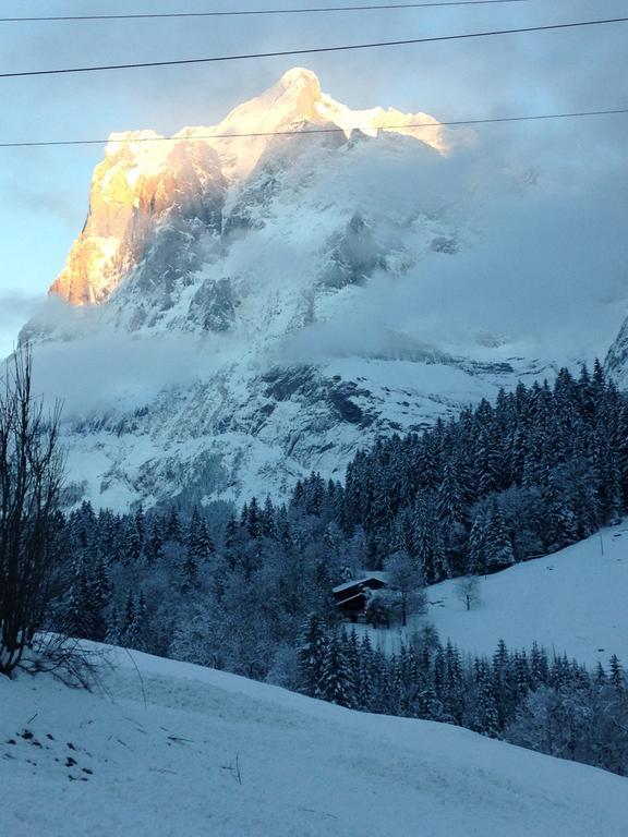 Apartment Pfingsteggblick Grindelwald