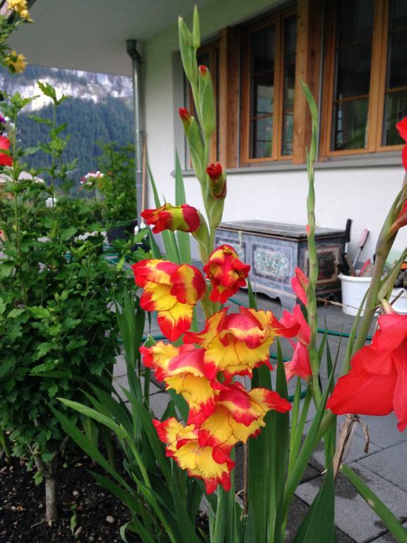 Pfingsteggblick Apartment Grindelwald