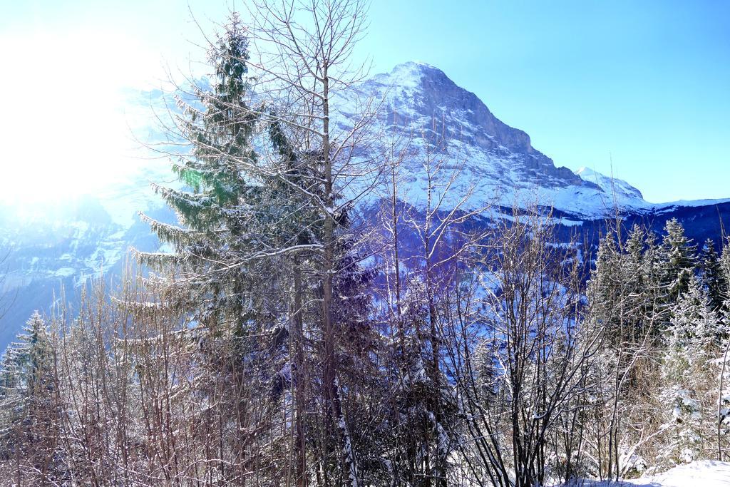 Chalet Oben Hegen Grindelwald