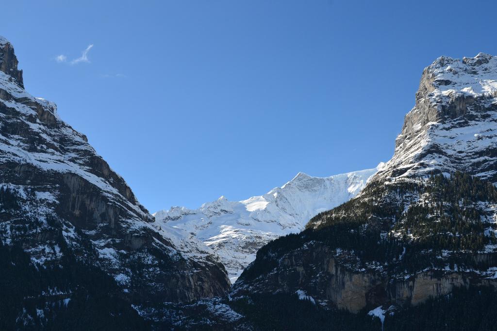 Hirschen - Grindelwald