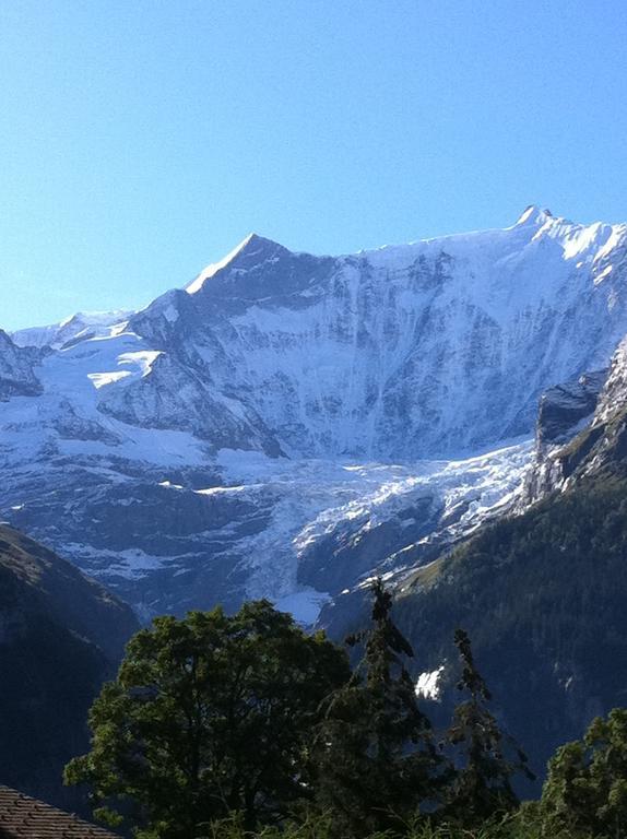Apartment Chalet Bodenwald Grindelwald