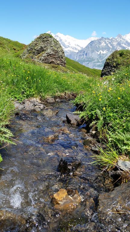 Chalet Bodenwald Grindelwald