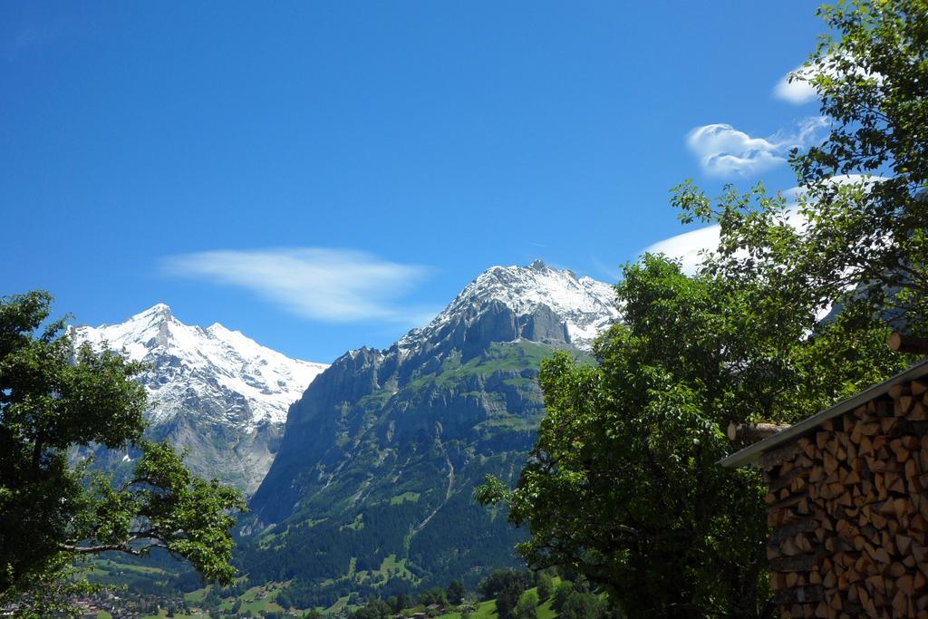 Eigerhome - Chalet Am Buehl *