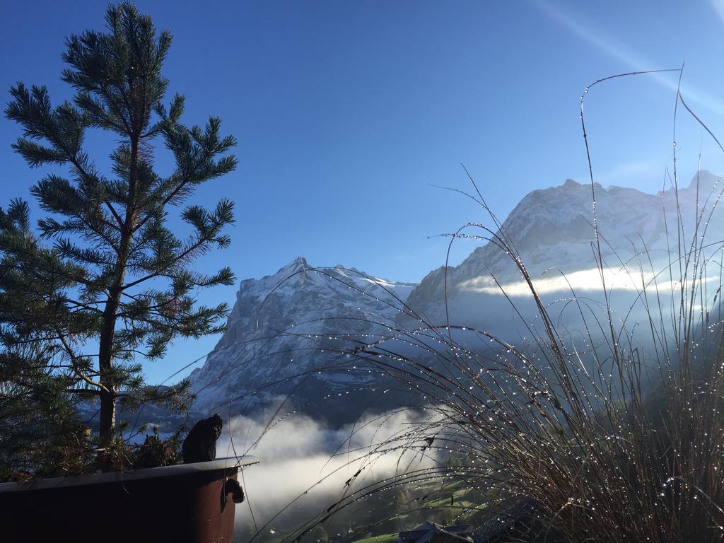 Eigerhome - Chalet Am Buehl *