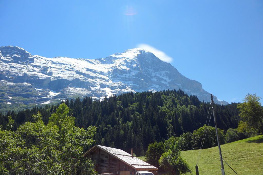 Eigerhome - Chalet Am Buehl Apartment Grindelwald